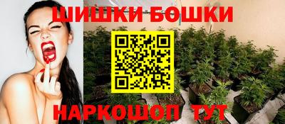шишки Гусиноозёрск