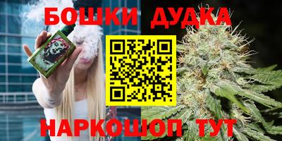 шишки Гусиноозёрск