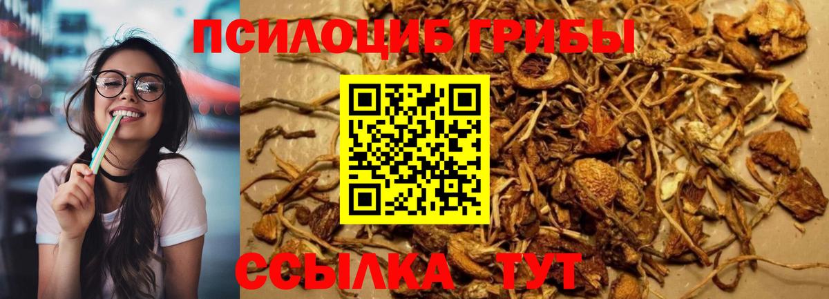 Псилоцибиновые грибы Magic Shrooms  Вход с VPN  Сафоново 